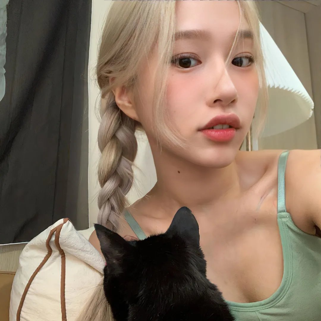 哈莱姆的郁金香
